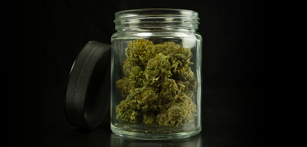 Cannabis im Glas © Michael / stock.adobe.com