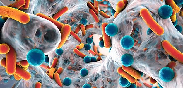 Schematische Darstellung eines Biofilms mit Antibiotika-resistenten Bakterien © Kateryna_Kon / stock.adobe.com